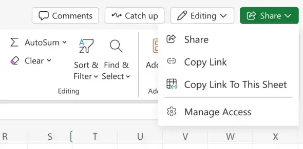 Share button in Excel